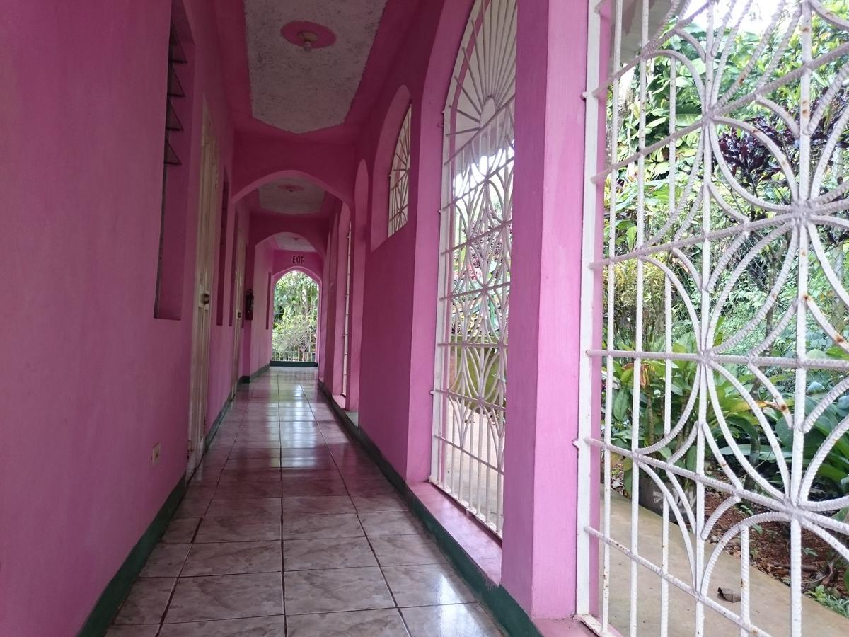 Nine Miles Cultural Hangouts And Tours Stepney エクステリア 写真